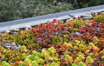 the cost of Fimber green roof installation