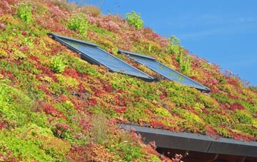 Fimber living roof systems
