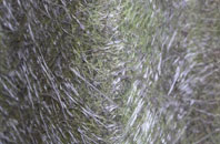 Fimber fibreglass roof work